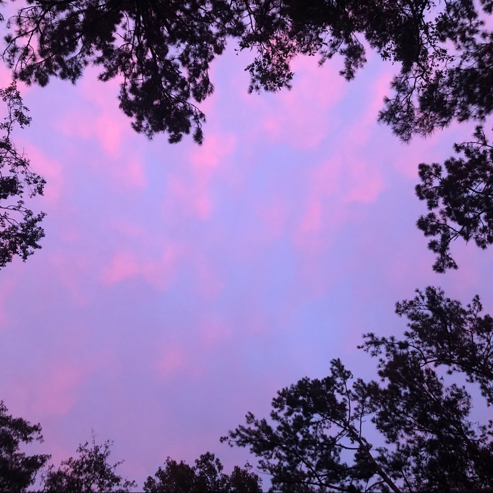 Meet your Posher, Hanna